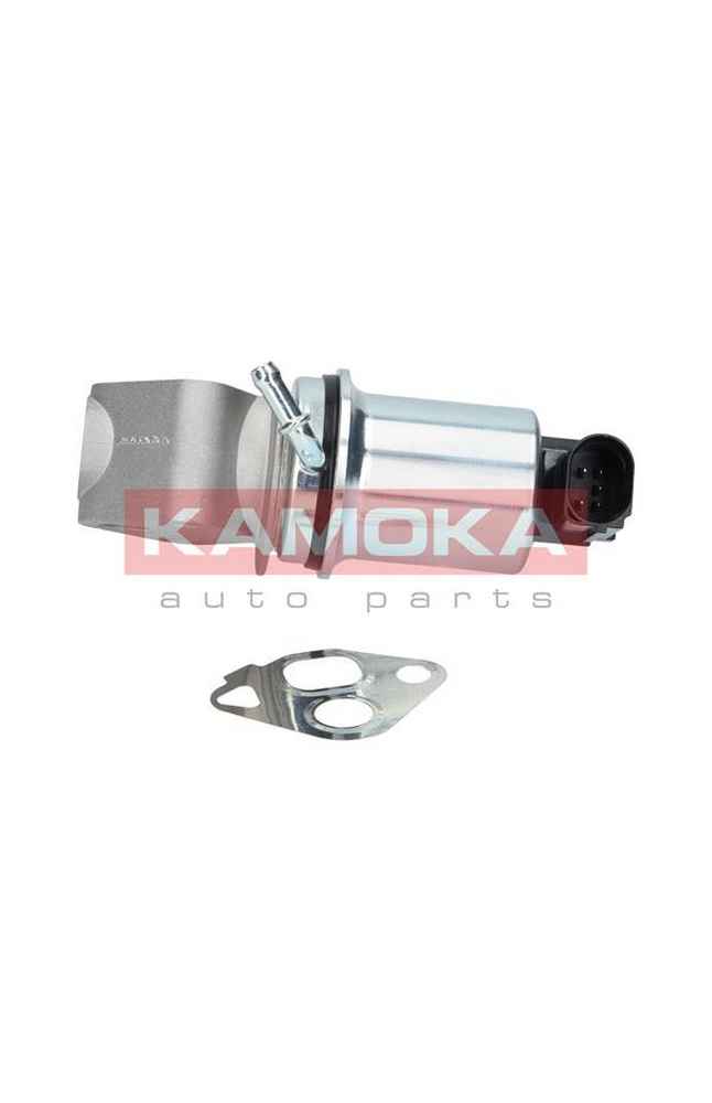 Valvola ricircolo gas scarico-EGR KAMOKA 185-19004