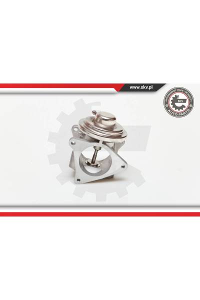 Valvola ricircolo gas scarico-EGR ESEN SKV 4969-14SKV019