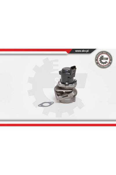 Valvola ricircolo gas scarico-EGR ESEN SKV 4969-14SKV027