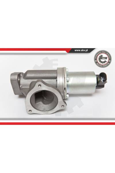 Valvola ricircolo gas scarico-EGR ESEN SKV 4969-14SKV054