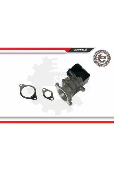 Valvola ricircolo gas scarico-EGR ESEN SKV 4969-14SKV057