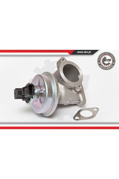 Valvola ricircolo gas scarico-EGR ESEN SKV 4969-14SKV061