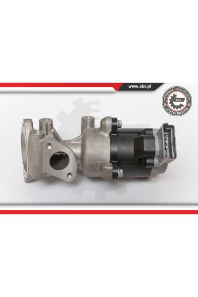 Valvola ricircolo gas scarico-EGR ESEN SKV 4969-14SKV066