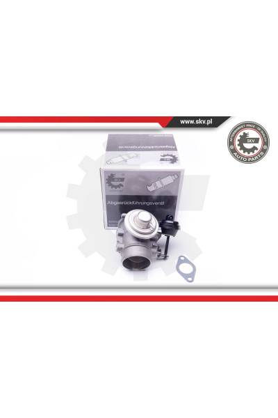 Valvola ricircolo gas scarico-EGR ESEN SKV 4969-14SKV106