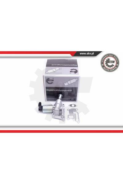 Valvola ricircolo gas scarico-EGR ESEN SKV 4969-14SKV207