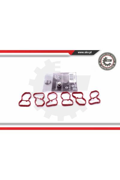 Kit riparazione, modulo collettore aspirazione ESEN SKV 4969-49SKV522