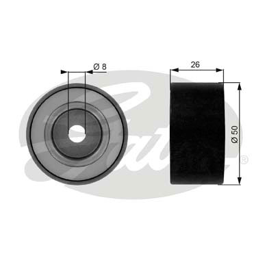 Galoppino/Guidacinghia, Cinghia Poly-V GATES 33-T36048