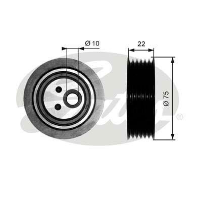 Rullo tenditore, Cinghia Poly-V GATES 33-T36050