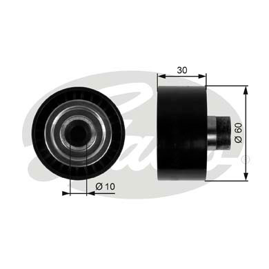 Galoppino/Guidacinghia, Cinghia Poly-V GATES 33-T36295