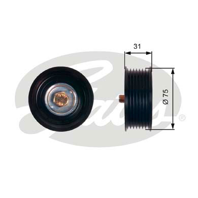 Galoppino/Guidacinghia, Cinghia Poly-V GATES 33-T36305