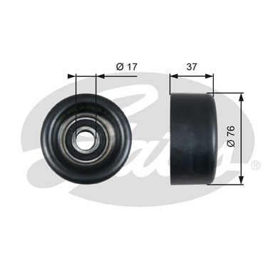 Galoppino/Guidacinghia, Cinghia Poly-V GATES 33-T38028