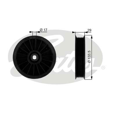 Galoppino/Guidacinghia, Cinghia Poly-V GATES 33-T38034