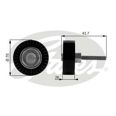 Galoppino/Guidacinghia, Cinghia Poly-V GATES 33-T38054