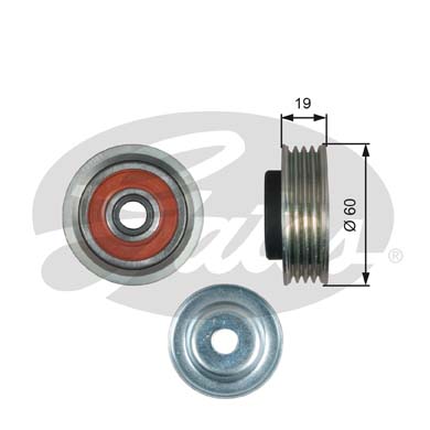 Rullo tenditore, Cinghia Poly-V GATES 33-T39181