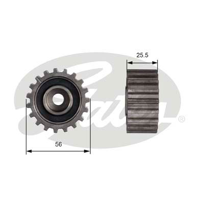 Galoppino/Guidacinghia, Cinghia dentata GATES 33-T42000